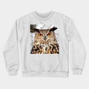 Eurasian Eagle Owl Crewneck Sweatshirt